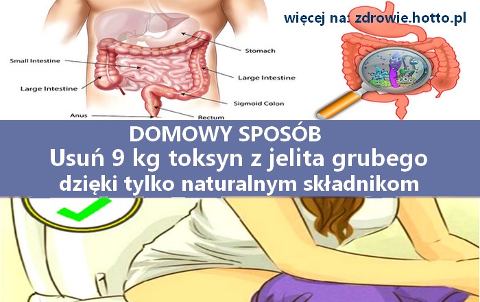 zdrowie.hotto.pl-oczyszczanie-jelita-grubego-z-toksyn-domowy-sposob