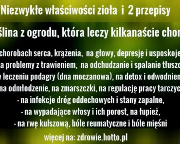 zdrowie.hotto.pl-Niezwykłe właściwości ziola. Roślina z ogrodu, która leczy wypadanie włosów i kilkanaście chorób. PRZEPISY