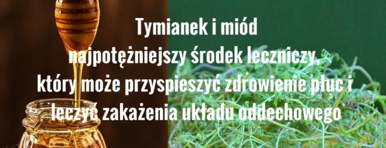 zdrowie.hotto.pl-tymianek-miod