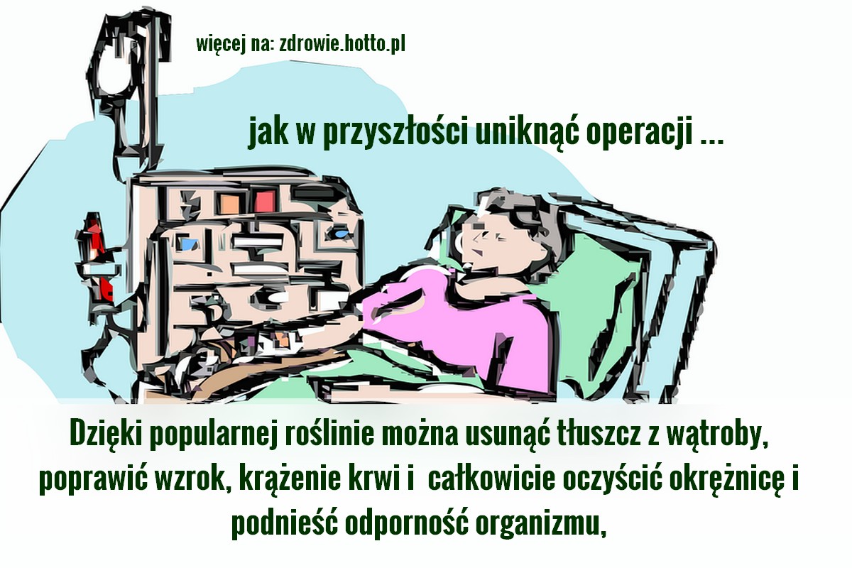 zdrowie.hotto.pl-buraki-odtluszczenie-watroby