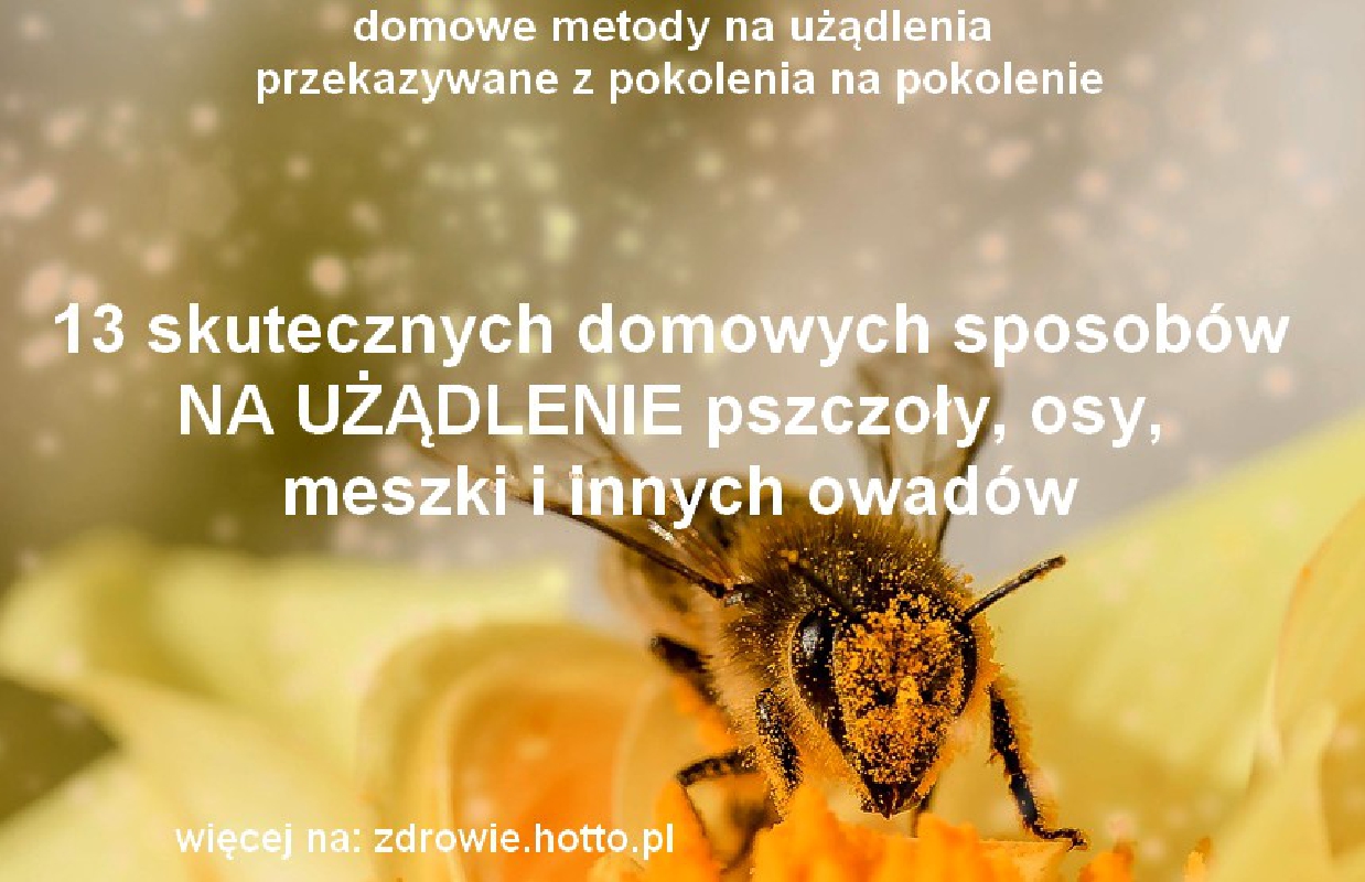 zdrowie.hotto_.pl-na-uzadlenia-osy-pszczoly-meszki-inne-owady-13-domowych-przepisow