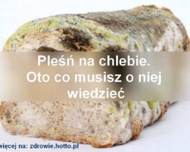 zdrowie.hotto_.pl-plesn-na-chlebie-splesnialy-chleb-co-warto-wiedziec
